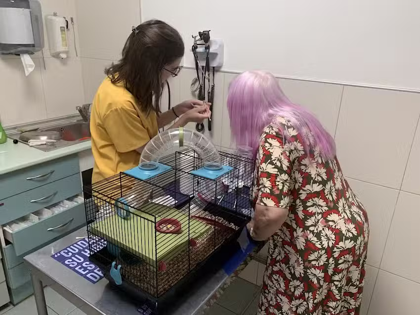 Agaba Centro Veterinario