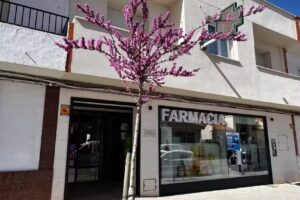 Ana Mar&iacute;a Carlavilla Noguera