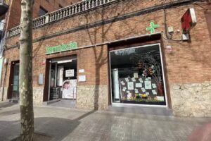 Carles Domingo Ortega