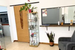 CL&Iacute;NICA VALLALTA &ndash; Veterinario Sant Cebri&agrave;