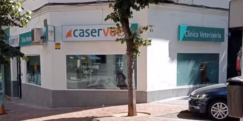 Cl&iacute;nica Veterinaria Caservet Pilar de Zaragoza