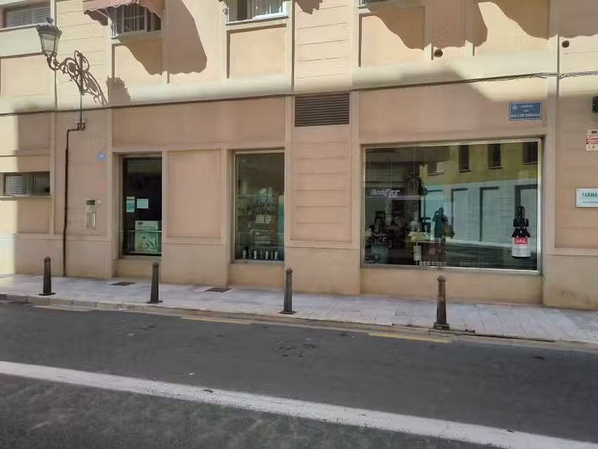 Dra. A. Hortig&uuml;ela Espa&ntilde;ol