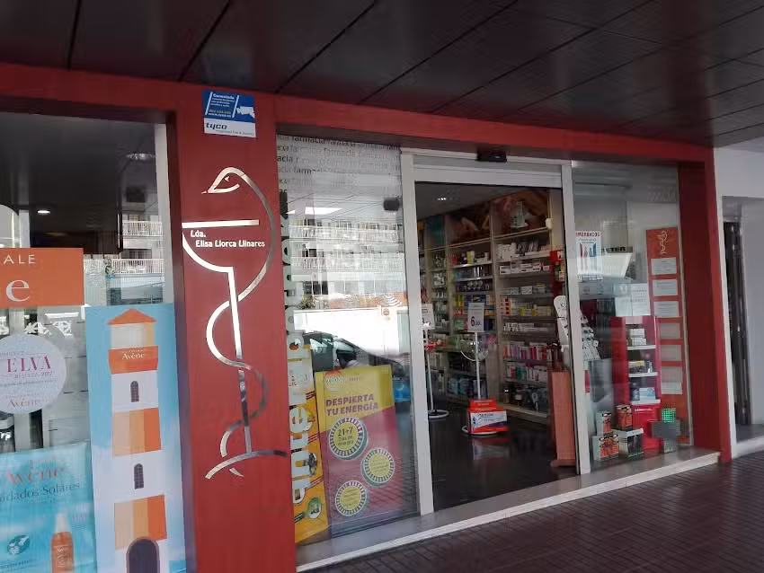 Elisa Llorca Llinares