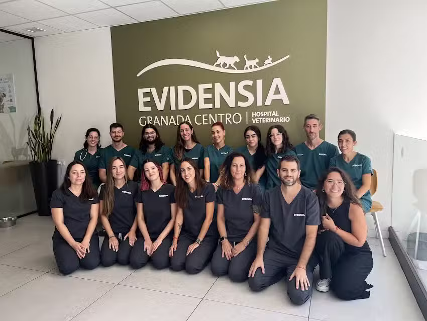 Evidensia Granada Centro Hospital Veterinario