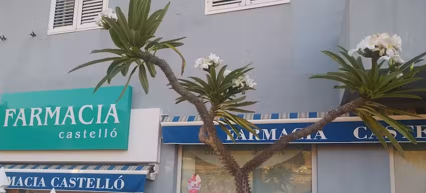 Farmacia