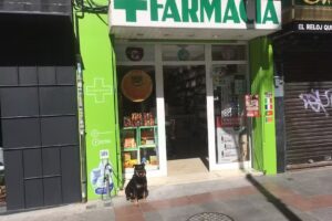 Farmacia Begoña Martínez Alarcón @Farmaciatrammercado
