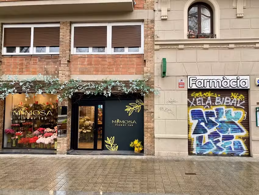 Farmacia de la Nogal