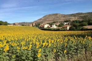 Farmacia de Lupiana. Lda. Elena Garc&iacute;a Medina.