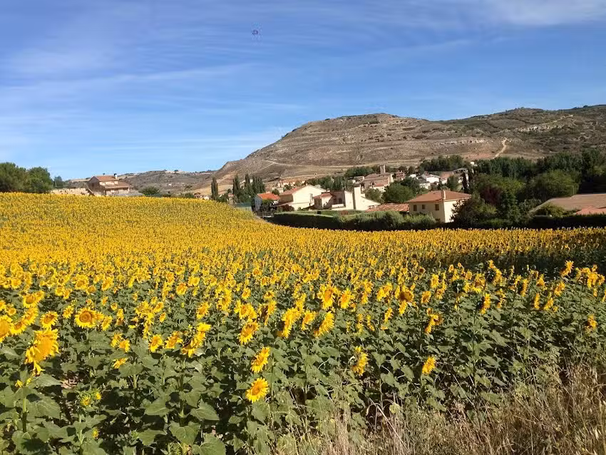Farmacia de Lupiana. Lda. Elena Garc&iacute;a Medina.