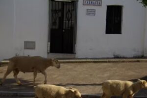 Farmacia El Madro&ntilde;o, Francisco Javier Guerrero Garc&iacute;a