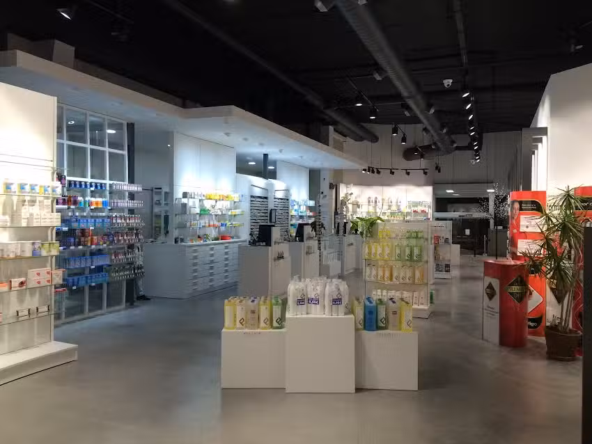 Farmacia Gines Plaza