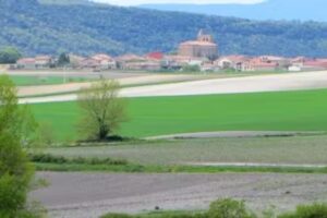 Farmacia Lcdo Navarro Pardo M Del Carmen