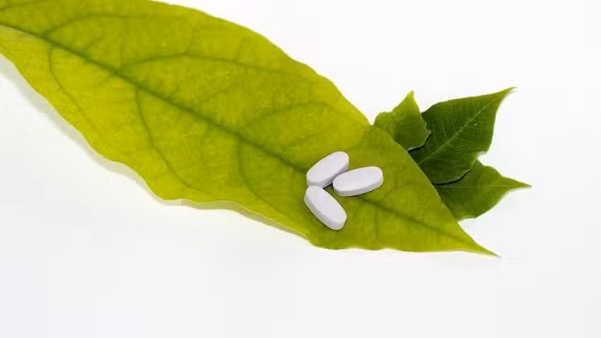 Farmacia Lourdes Cort&eacute;s