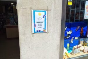 FARMACIA MARIA ROSARIO BLANES FEIJOO