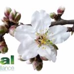 Farmacia M&eacute;dica