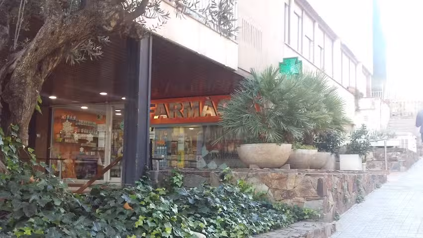 Farmacia Pati&ntilde;o