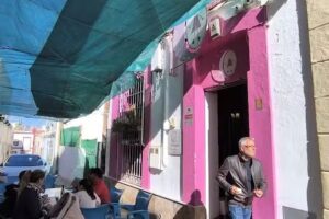 Farmacia Veterinaria