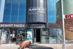 FARM&Agrave;CIA VETERIN&Agrave;RIA &ndash; CPV I PROVETSA