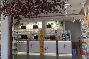 FARMACIA VILLALUENGA de la sagra Lda. M Teresa Carmona Cabeza