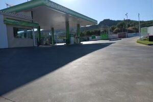 Gas&oacute;leos San L&aacute;zaro