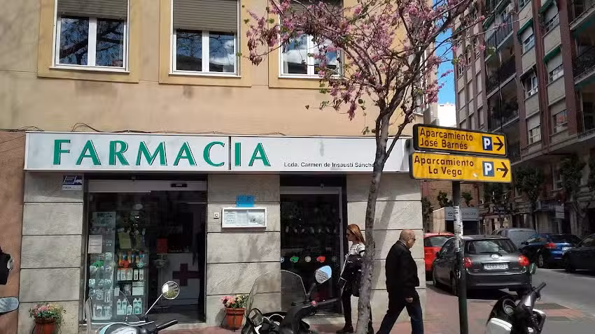 Insausti S&aacute;nchez Mar&iacute;a Del Carmen