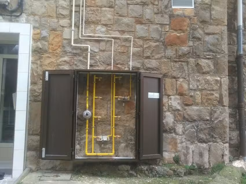 Integas-Zubinor