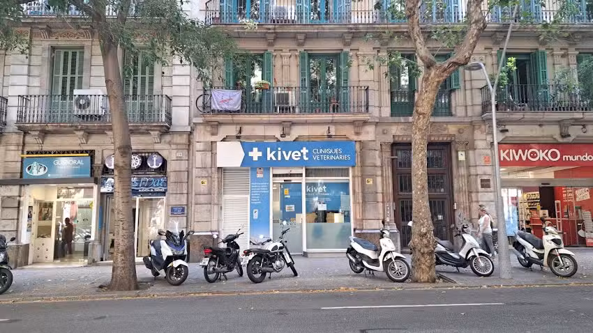 Kivet Salud Animal