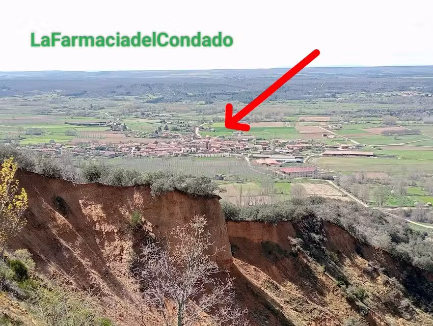 La Farmacia del Condado. Lda. Carmen Fern&aacute;ndez V&aacute;zquez