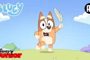 Lcdo D Evelio Dom&iacute;nguez Montesdeoca