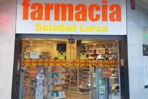 M Soledad Lorca Mico