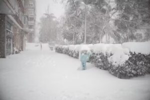 Mart&iacute;n de la Calle M&ordf; Bel&eacute;n Arranz Holgueras C B