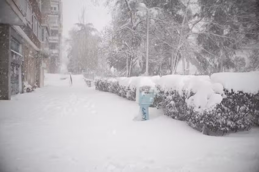 Mart&iacute;n de la Calle M&ordf; Bel&eacute;n Arranz Holgueras C B