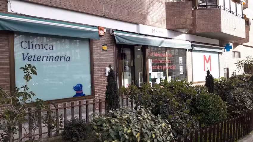 Medivet Cl&iacute;nica Veterinaria La Estrella