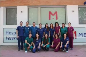 Medivet Hospital Veterinario 24 horas La Flota