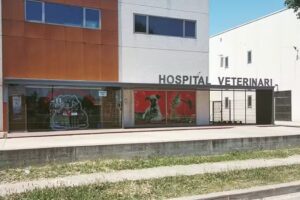 Medivet Hospital Veterinario 24 horas Vic