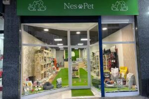 NesPet