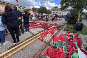 Remedios Energ&eacute;ticos