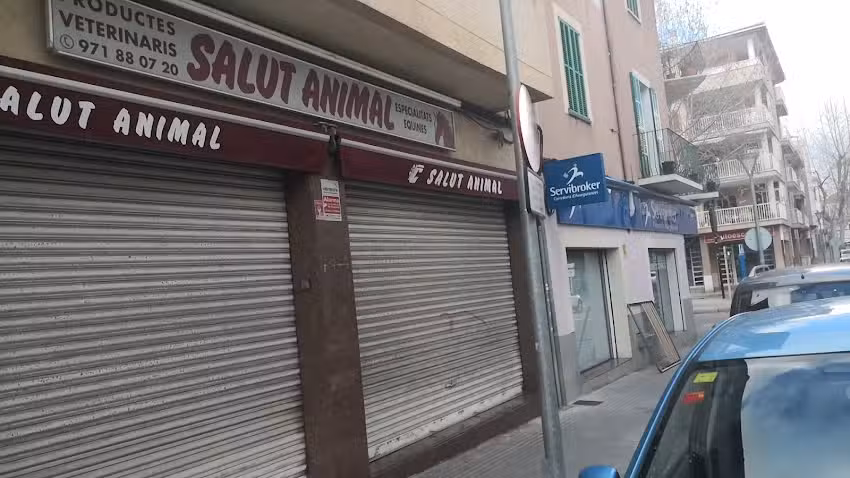 Salut Animal