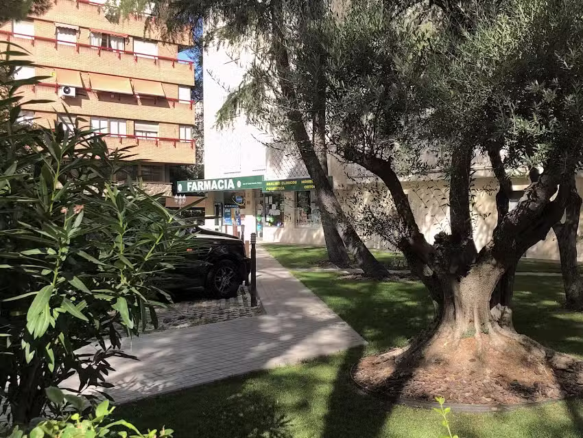 Sarri&oacute;n Pelous Mar&iacute;a Jes&uacute;s