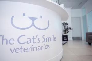 The Cat&rsquo;s Smile Cl&iacute;nica Veterinaria Ciudad Lineal