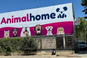 Tienda de animales Animal Home Ciudad Real Larache
