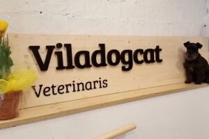 Viladogcat Veterinarios