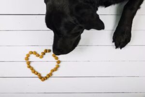 Zoofarma.Farmacia veterinaria Almer&iacute;a